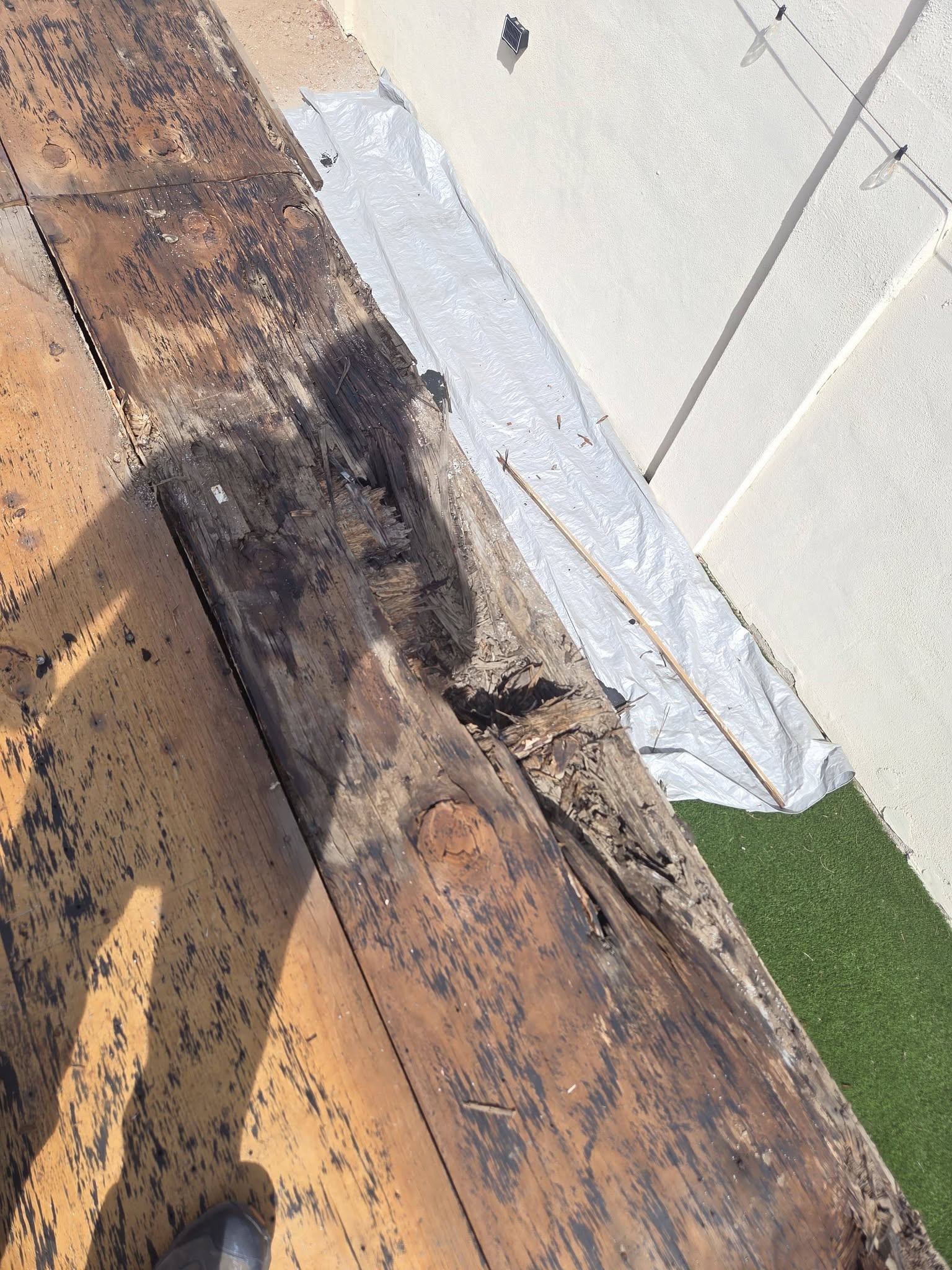 Water-damaged roof decking during an inspection.